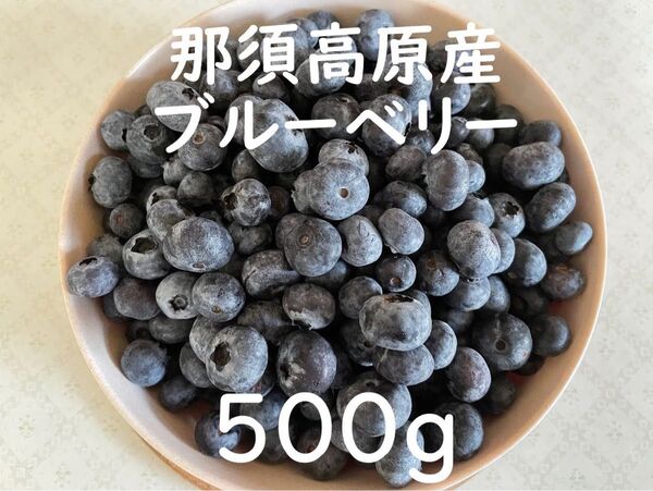 【2025年産】那須高原産 ブルーベリー 500g