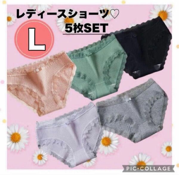 【コスパ最強】レディースショーツ L パンツ 5枚セット リボン 下着 新品 人気 可愛い