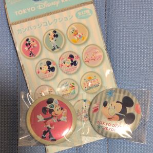 ディズニーリゾート ランダム缶バッジ