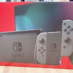 Nintendo Switch グレー 本体 付属品あり