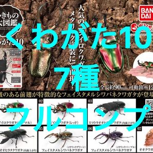 【7種フルコンプ】 くわがた10 いきもの大図鑑