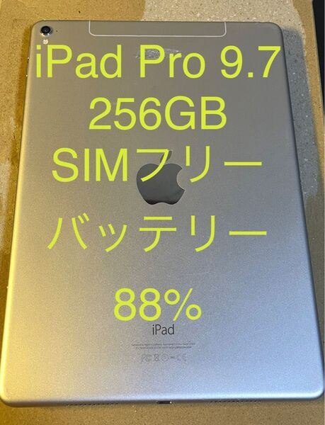 iPad Pro 9.7インチ Wi-Fi + Cellularモデル SIMフリー 256GB シルバー 動作確認済