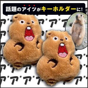 キーホルダー マーモット ストラップ ぬいぐるみ マモケツ 2個組 ふわふわ リス科 ぬい活 かわいい キャラクターグッズ ペット