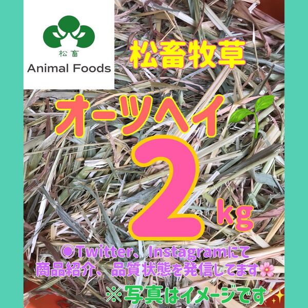 ★松畜牧草 ★オーツヘイ スーパープレミアム オーストラリア産 2kg