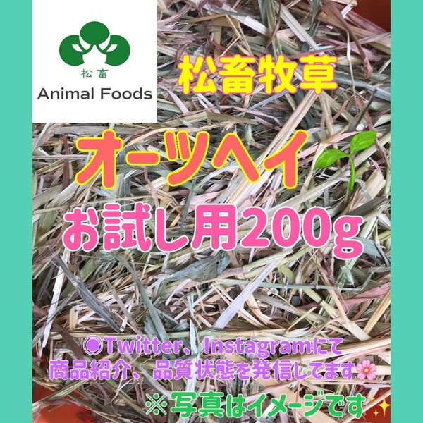★松畜牧草★お試し用★オーツヘイ スーパープレミアム オーストラリア産 200g