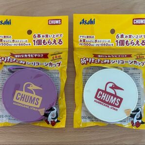 新品 CHUMS 折りたたみ シリコーンカップ 2点セット