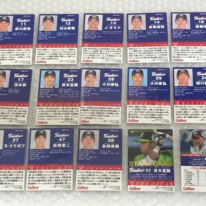 カルビー プロ野球チップス 2022 野球カード 東京ヤクルトスワローズ 15枚セット クーポン