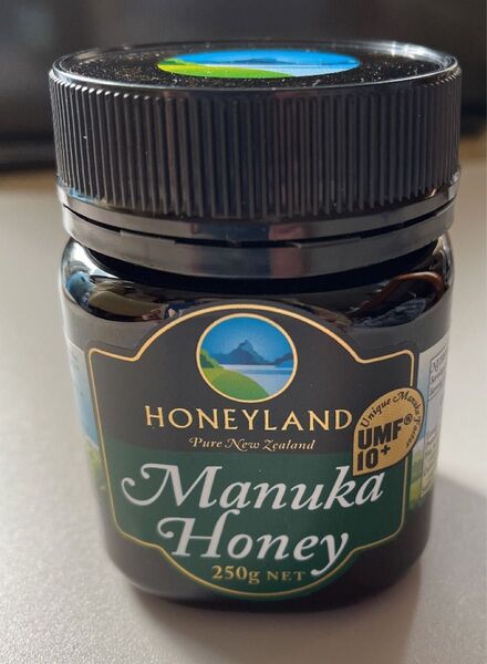新品・未開封 マヌカハニーUMF10+ 250g HONEYLAND