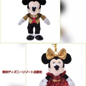 東京ディズニーリゾート店限定 ぬいぐるみキーホルダー・キーチェーン