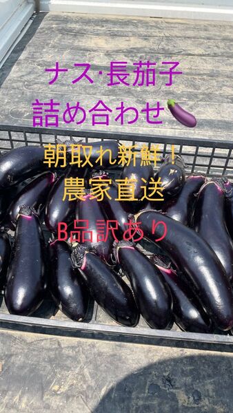 ナス 長茄子 朝取り 農家直送 訳あり 80サイズ