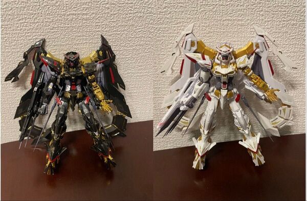 RG アストレイ 天ミナ スペシャルコーティング & 天ハナ 組立済完成品セット