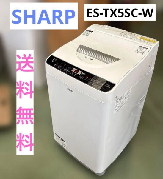 2017年式 5.5kg SHARP 洗濯機 ES-TX5SC-W