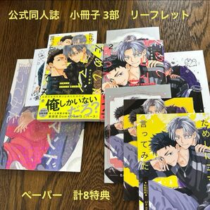 ためしにコマンド言ってみた 2冊 8特典付き