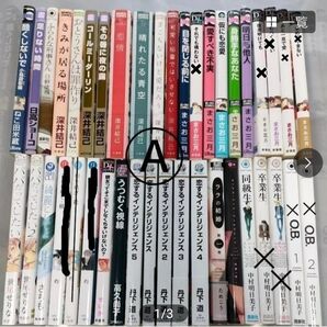 BLコミック セット バラ売り可 その場合コメント必須でお願いします。専用作ります。2冊200円引き3冊400円引き4冊600円引
