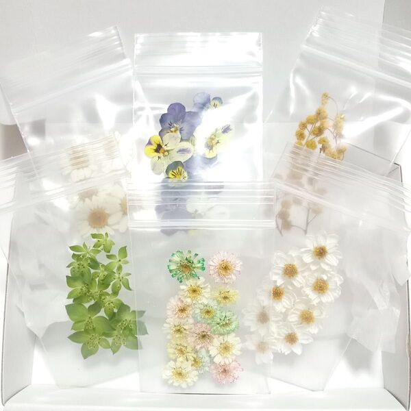 ドライフラワー 花材 マトリカリア ノースポール ビオラ 花かんざし ブプレリューム ミモザ ハンドメイド レジン ミニ 小花