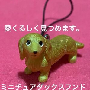 新品 REALDOG ストラップ ミニチュアダックスフンドいつも一緒にお出掛け!プレゼントに!可愛がって下さる方に!リピ割有ります
