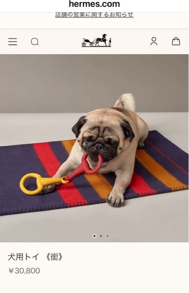 エルメス 犬用トイ ペット用おもちゃ dog bit toy 完売品 インテリアにも!