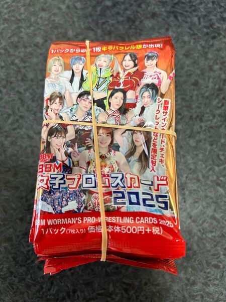 イベント購入品 2024 BBM 未開封 20パック 定価11000円相当 女子プロレス