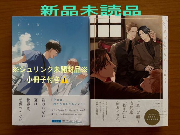 BLコミック 古矢渚 限定版 君と夏のなか3 上田アキ 恋をしたなら 新品未読品