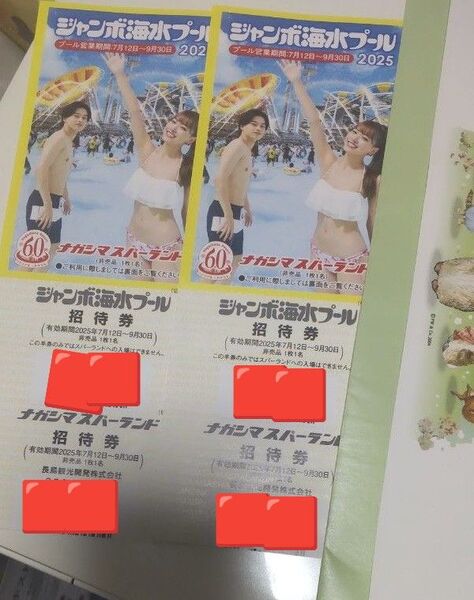 ナガシマスパーランド ジャンボ海水プール 招待券 2枚セット 入場券