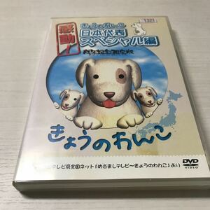 (SEH0411)DVD 感動!きょうのわんこ日本代表スペシャル編 戌年記念限定版 [レンタル落ち]（JAN）4535388060125 中古品