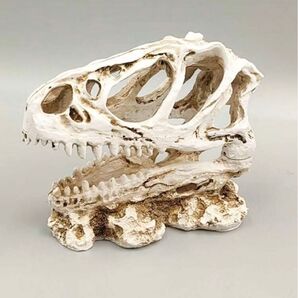 79 【未使用品】T-REX ティラノ 頭部標本 インテリア リアル頭蓋骨モデル 装飾 恐竜 樹脂 オブジェ 置物 レジン