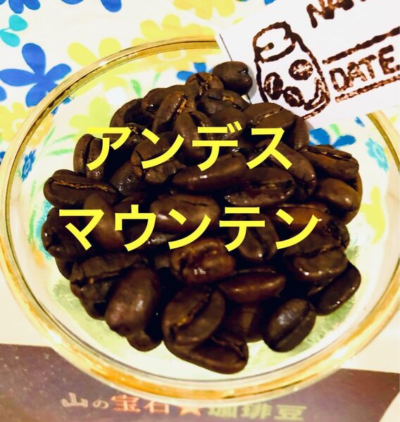 アンデスマウンテン 300g Qグレードコーヒー豆をこの価格 受注後焙煎 新鮮!煎りたて コーヒー豆【 YouCoffee 】