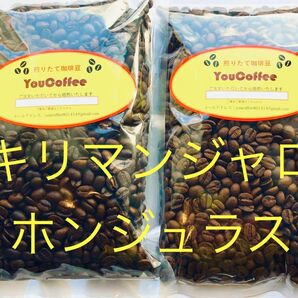 コーヒー豆 セット キリマンジャロ タンザニアAA 180g ホンジュラス HG 180g YouCoffee