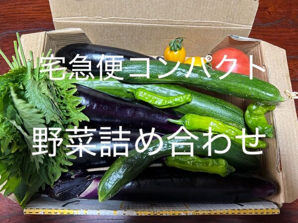 野菜セット 野菜詰め合わせ ゴーヤ ミニトマト 大葉 キュウリ ナス なす 茄子 トマト プチトマト 野菜