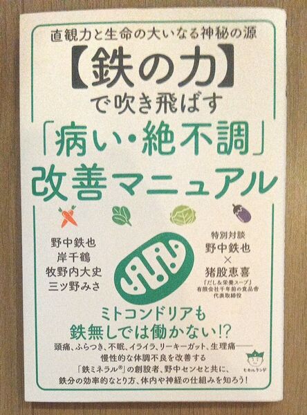 鉄の力 病気改善マニュアル 野中緑也
