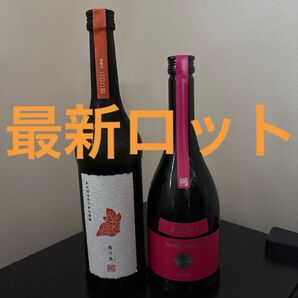 新政 陽乃鳥 コスモス 合計2本セット