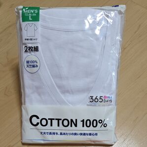 365DAYS メンズ VネックTシャツ 2枚組 L ホワイト 綿100%
