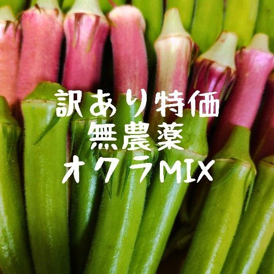 【訳あり特価】無農薬オクラMIX!ネコポスいっぱい_Y072001