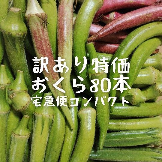 【訳あり特価】無農薬オクラ80本_Y072803