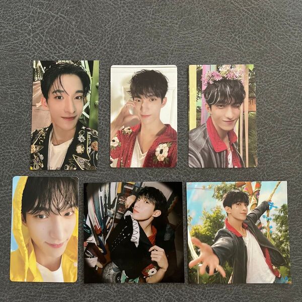 SEVENTEEN ドギョム HEAVEN 会場限定トレカ名古屋 花冠 トレカ まとめ売り
