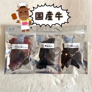 国産牛肉セット レバー 牛タン皮 ジャーキー ペットフード 犬 おやつ