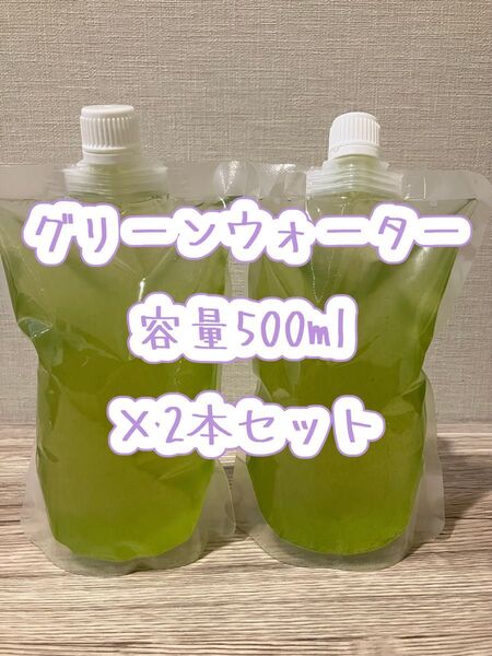 グリーンウォーター #メダカ#金魚#針子#稚魚