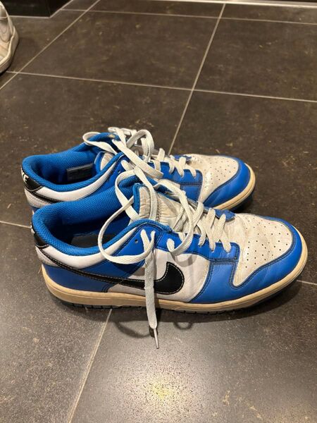 ナイキ NIKE Dunk GOLF ゴルフシューズ 27.0