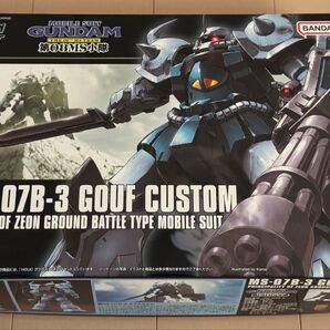 MS-07B3 グフカスタム (1/144スケール HGUC 117 機動戦士ガンダム 第08MS小隊 2101619)
