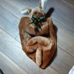 カンガルー テッシユカバー