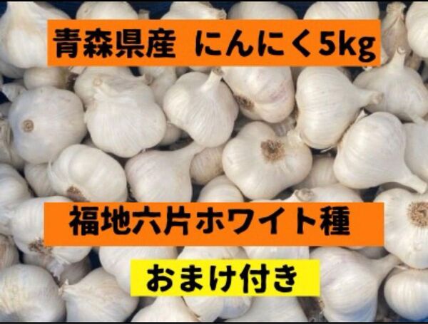 【8月上旬発送】青森県産にんにく 5kg 福地ホワイト六片 農家直送
