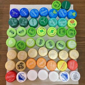 ペットボトルキャップ 100個 まとめ売り