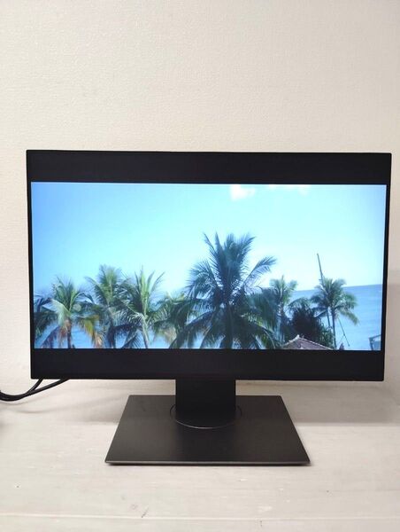 DELL デル USB-C 24.1型デジタルハイエンドシリーズ 液晶モニター U2421E