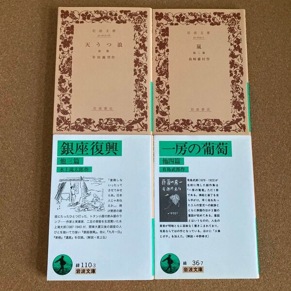 岩波文庫 4冊 セット まとめ売り 銀座復興 水上滝太郎 一房の葡萄 有島武郎 嵐 島崎藤村 天うつ浪 前篇 幸田露伴 文庫本 本