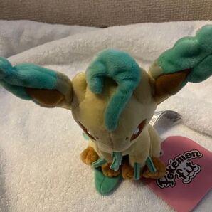 ポケモンセンター ポケモンfit リーフィア