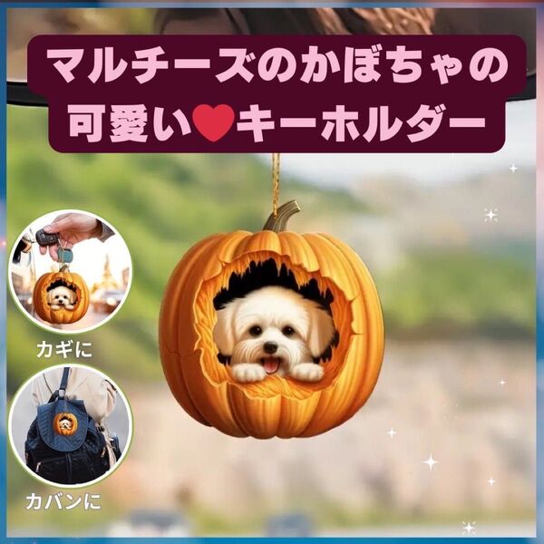 マルチーズ ポケット キーホルダー オーナメント かぼちゃ 車 2D アクリル 犬