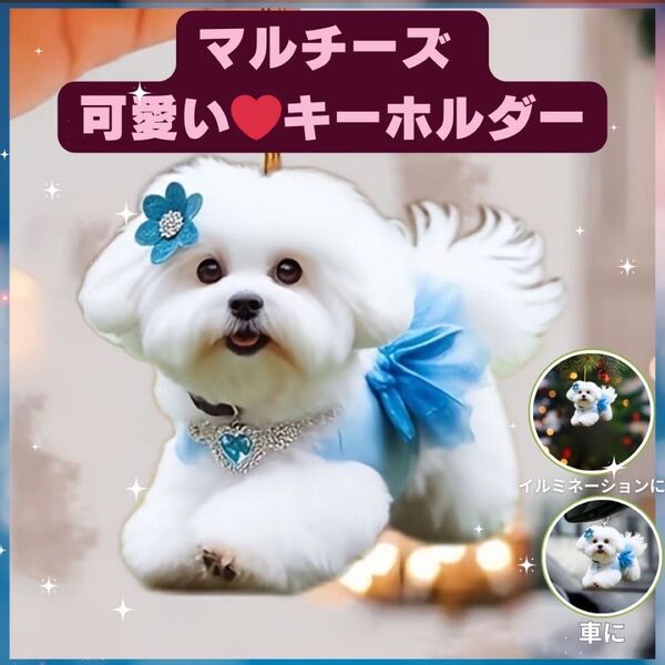 マルチーズ ポケット キーホルダー オーナメント 車 2D アクリル 犬