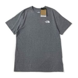 新品 ノースフェイス THE NORTH FACE Tシャツ NOVELTY GRAPHIC TEE 半袖 メンズM L グレー