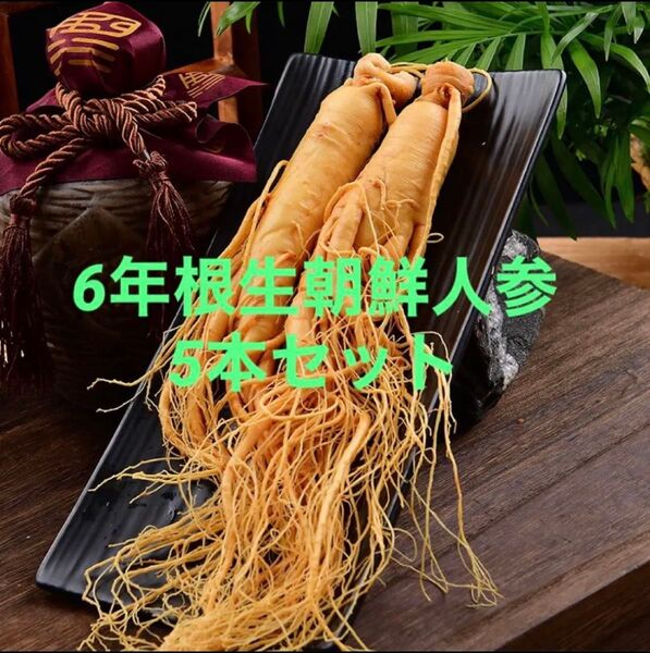 5本♪6年根珍しい人参花付き生朝鮮人参 野生環境黒土露地栽培 漢方薬膳 健康食材