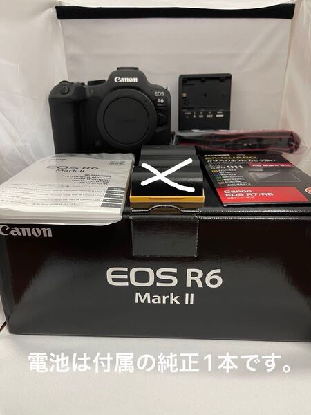 キヤノン EOS R6 mark2 ショット数2000以下 canon